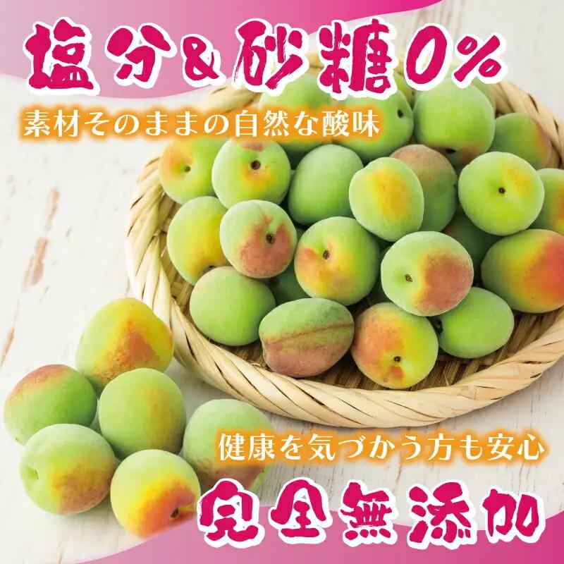 【梅エキス】65g 月ヶ瀬梅渓名産 梅 I-247