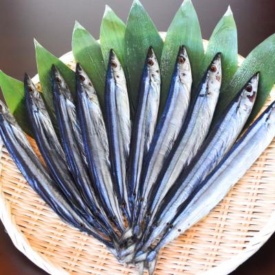 ふるさと納税 熊野市 【寒作り】さんま丸干し 20本入り