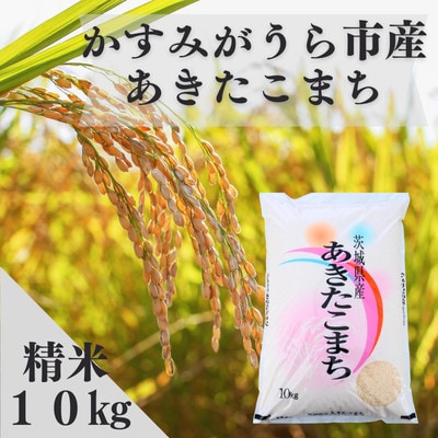 令和7年産かすみがうら市産あきたこまち  精米  10kg【1666719】