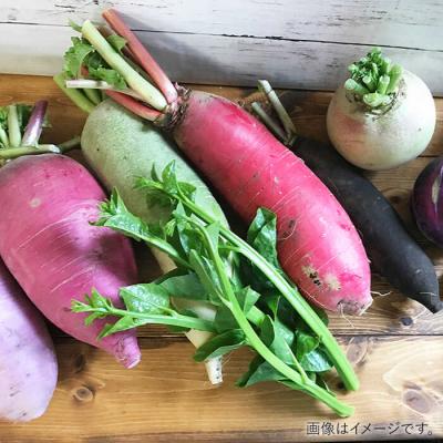 ふるさと納税 糸島市 【全3回定期便】糸島 野菜 セット 10〜14種 (14パック) /vegeLabo[AJB004] |  | 02