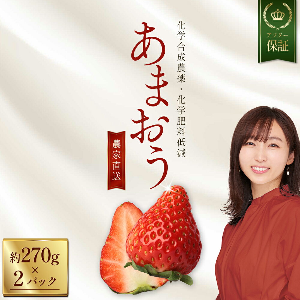 【ふるさと納税】【数量限定】 特別栽培 農家直送 あまおう 約270g前後 × 2パック いちご イチゴ 苺 デザート 果物 くだもの フルーツ ジャム にも ケーキ にも 先行予約 福岡 赤村 3W30
