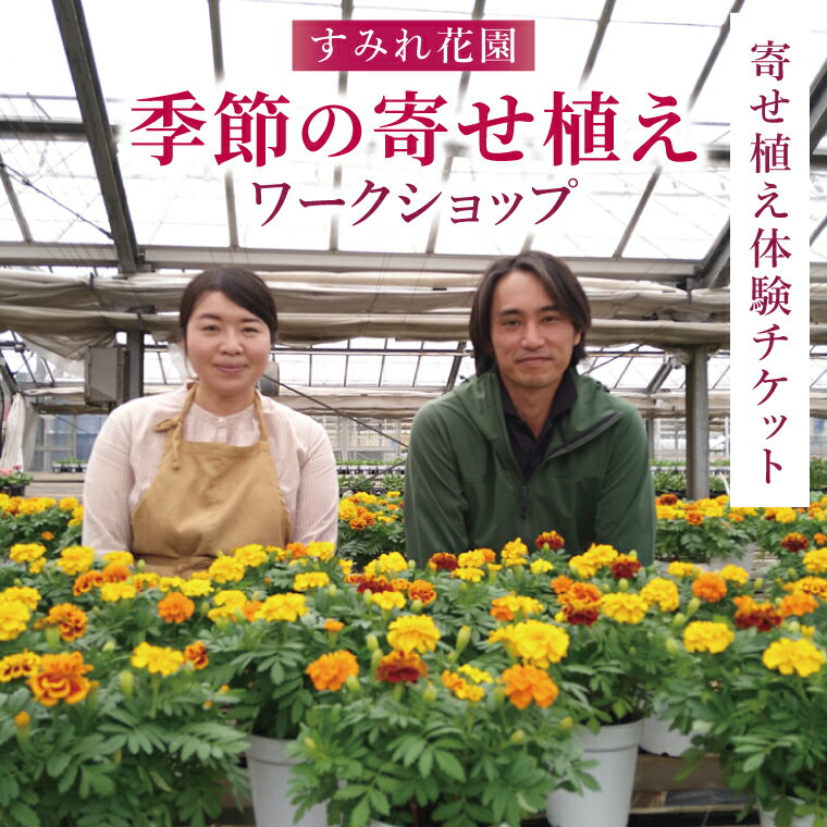 【ふるさと納税】【選べるサイズ】行方市の花農家「すみれ花園」季節の寄せ植えワークショップ｜花 お花 季節の花 ワークショップ 体験 体験チケット ラーケーション ガーデンセラピー 寄せ植え 茨城県 行方市(EH-30)