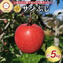 【ふるさと納税】《 先行予約 》樹上完熟 特選 サンふじ 約5kg ( 配送時期が選べる 12月上旬～下旬) / りんご 林檎 アップル 常温保存 秋 旬 果物 くだもの フルーツ 5キロ 贈答 贈り物 ギフト 年内配送 年内発送 青森県 五所川原市