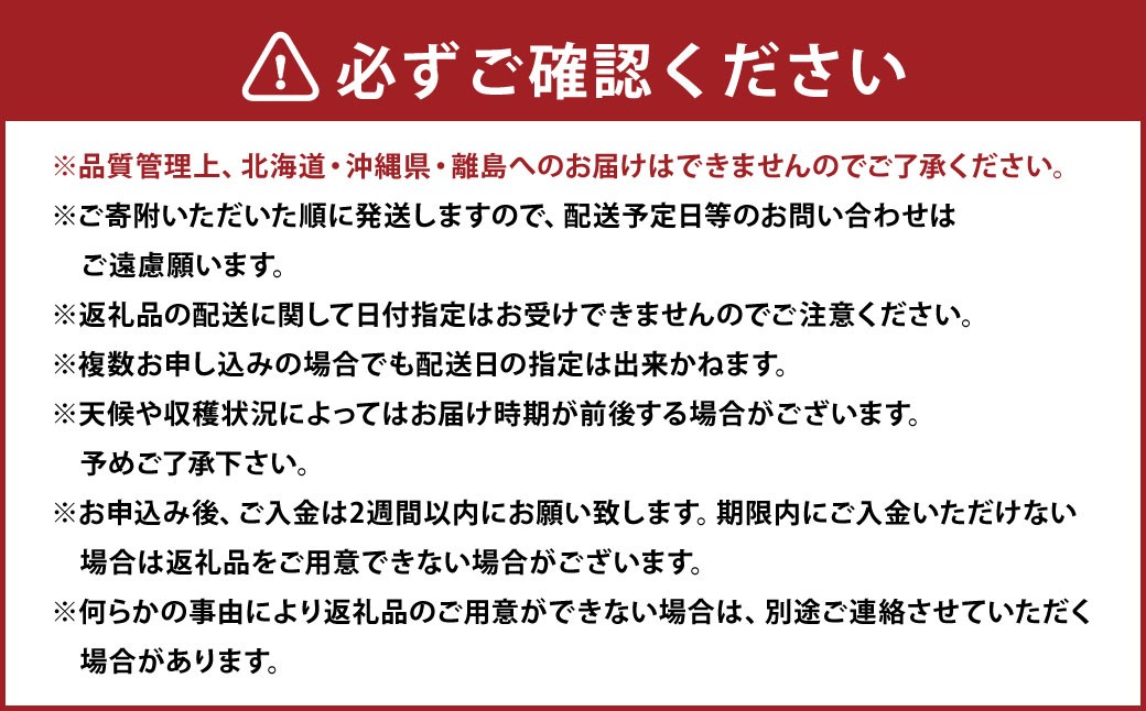【3回定期便】あまおう 3パック