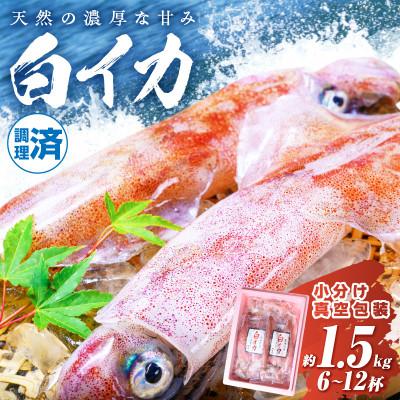 ふるさと納税 京丹後市 BBQにぴったり!白イカ(ケンサキイカ)　調理済み　正味1.5kg入り(6〜12匹)※小分け真空包装