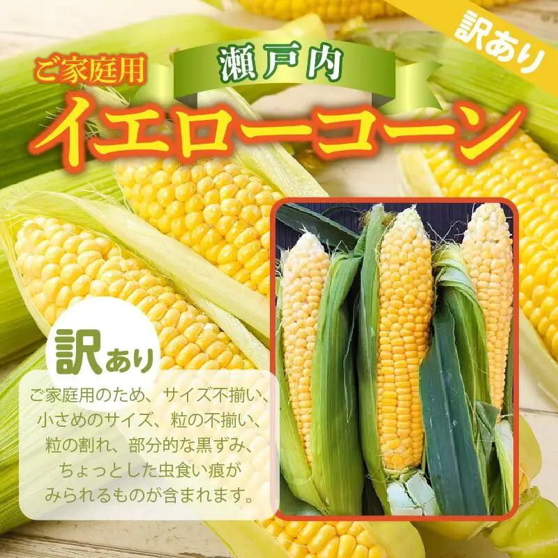 訳あり ご家庭用 瀬戸内イエローコーン 約8kg【2026-6月上旬～2026-7月中旬配送】| コーン