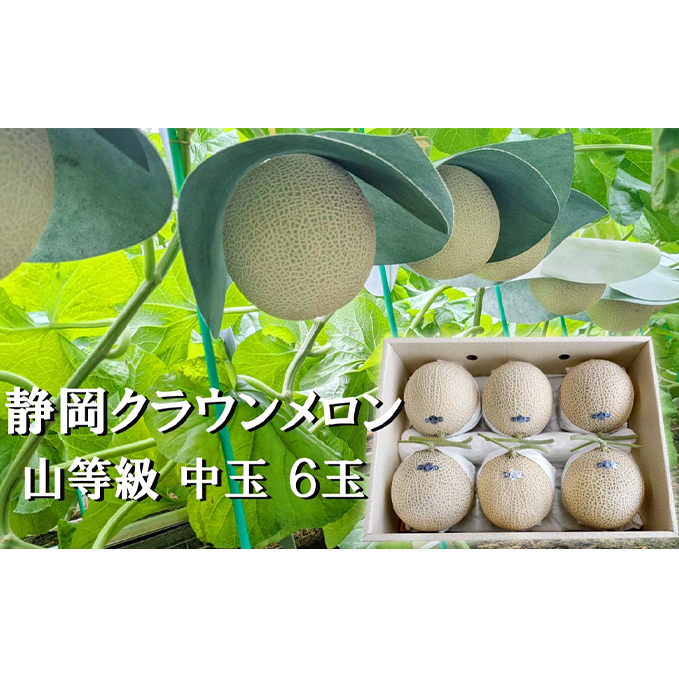 クラウンメロン【上（山等級）】中玉（1.3kg前後）6玉入り 人気 厳選 ギフト 贈り物 デザート グルメ 果物 袋井市