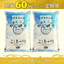 【ふるさと納税】【先行予約】【定期便6回】 かまくらの里コシヒカリ　10kg（5kg×2袋）＜出荷開始：2024年10月上旬～2025年7月中旬＞【 白米 新米 長野県 飯山市 ギフト プレゼント 父の日 母の日 敬老の日 記念品 お歳暮 御歳暮 お歳暮 御歳暮】