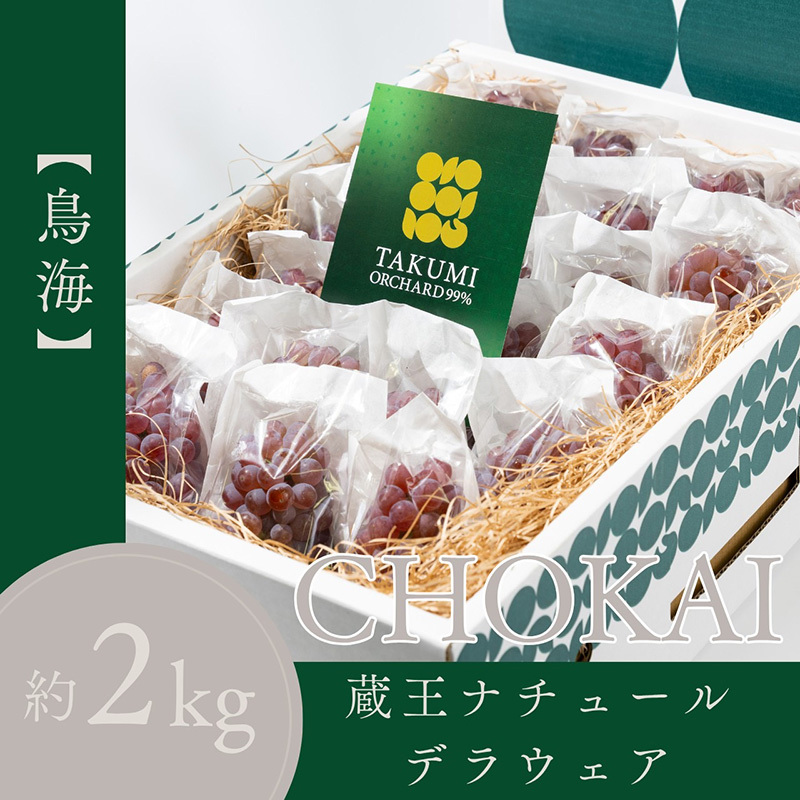 【鳥海 CHOKAI】蔵王ナチュールデラウェア 山形のデラウエア TAKUMI ORCHARD 99% ご家庭 M以上房サイズ混合 約2kg 山形 山形県 山形市 フルーツ 果物 くだもの 送料無料 