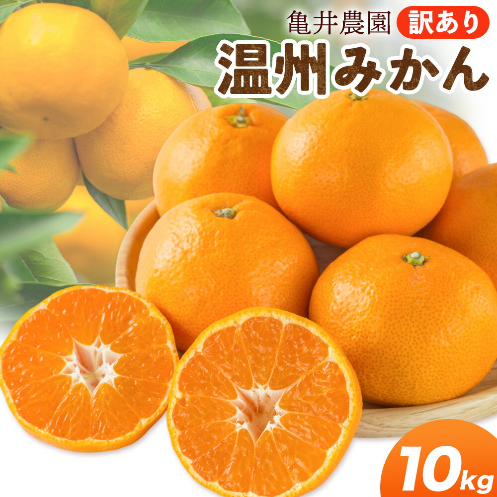 【ふるさと納税】温州みかん 10kg 訳あり品 亀井農園 《11月上旬-1月中旬出荷予定(土日祝除く)》和歌山県 日高川町 柑橘類 柑橘 果物 フルーツ ミカン みかん 温州