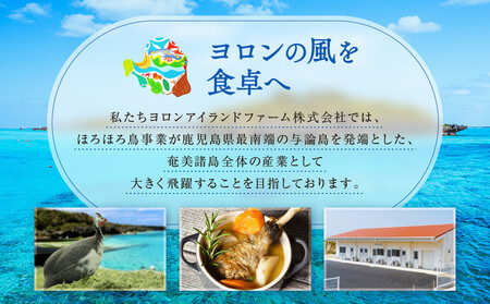 完熟トマトのジャム　3瓶セット