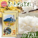 【ふるさと納税】米 定期便 10kg 新米 ひとめぼれ 令和6年 宮城県加美郡産 10kg(5kg×2）定期便 1回 ～ 12回 [カメイ 宮城県 加美町 ] お米 こめ コメ 精米 白米 | km00013-r6 おすすめ 美味しい 定期