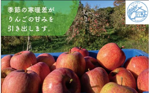 【令和8年産】佐渡産りんご「ふじ」5kg（13～18玉）ミライサト | 新潟県産りんご 新潟産りんご 佐渡産りんご 佐渡島産りんご ふじ フジ りんご リンゴ 林檎 アップル フルーツ 果物 くだもの