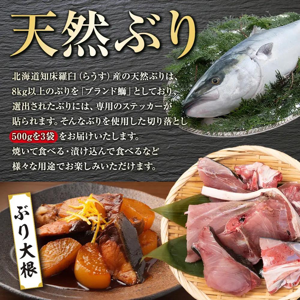 訳あり 知床羅臼産 天然ぶり 切り落とし（加熱用）1.5kg（500g×3袋 ）魚 ブリ 北海道 国産