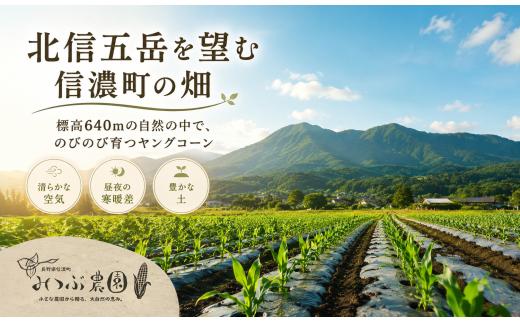 北信五岳を望む豊かな畑。信濃町の澄んだ空気と土が育てた生命力あふれる一品です。