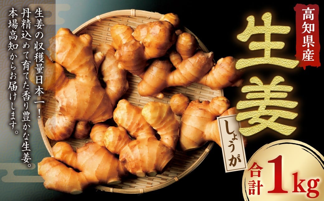 
            高知県産 香り大生姜 1kg ／ 大生姜 生姜 しょうが 野菜 ジンジャー 薬味 高知県 香美市 常温
          