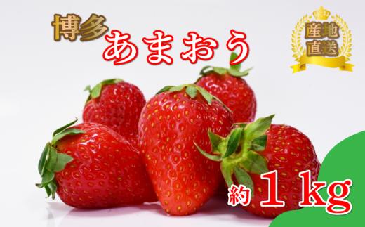 あまおう約270ｇ×4パック（１月～4月に順次発送予定）冷蔵 小分け いちご 福岡県産 苺 あまおうイチゴ フルーツ あまおう 果物 スイーツ くだもの 冬 春 旬 福岡 九州 福岡県 川崎町 数量限定 期間限定