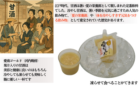 定期便 愛南ゴールド 入り 甘酒 ( 170g × 20 本 )  3回 計60本 毎月 お届け あまざけ あま酒 河内晩柑 米 パウチ 170g 持ち運び 片手 手軽 夏バテ 冷え 冷え性 栄養 栄