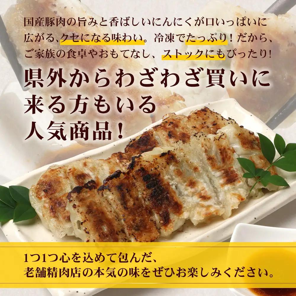 《リピーター続出！》佐多の田中肉屋 ニンニクたっぷりやみつき餃子 120個（12個入り×10パック） 餃子のタレ付き TA-402 | ぎょうざ 餃子 ギョウザ 豚肉 ひき肉 にんにく スタミナ餃子 