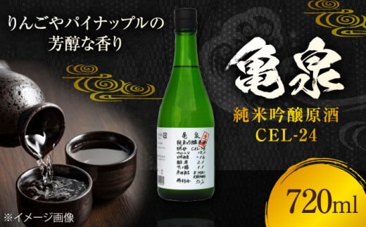 亀泉 純米吟醸原酒CEL-24 720ml 1本 /日本酒 地酒 高知 四国 酒 【近藤酒店】 [ATAB150] お酒 酒 おすすめ 高知 日本酒 高知市 こうち 人気 スピード発送 配送 最短 すぐ届く