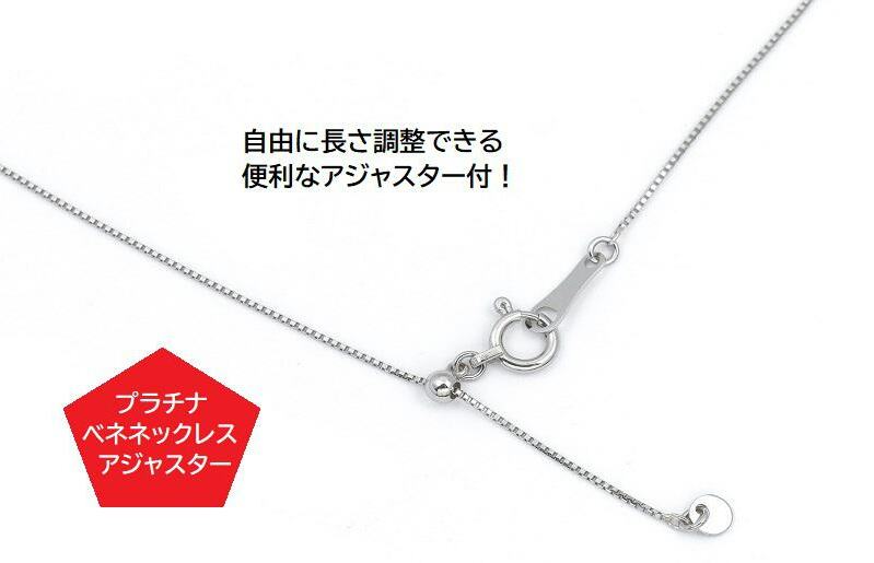 プラチナ・ダイアモンドネックレス（W113）【ジュエリー ファッション アクセサリー 贈り物】 J054_イメージ3
