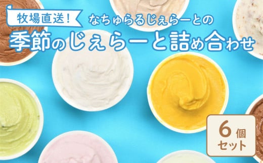 ジェラート  6個入 ミルク ピスタチオ 塩 キャラメル 塩キャラメル いちご 苺 越後姫 ラム レーズン  緑茶 お茶 アイス ジェラート セット 手作り  6個 なちゅらるじぇらーと なかの牧場 新潟 新発田 父の日 nakano001