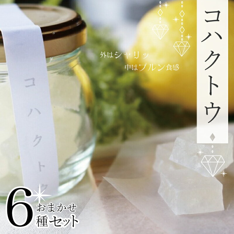 【ふるさと納税】コハクトウおまかせセット