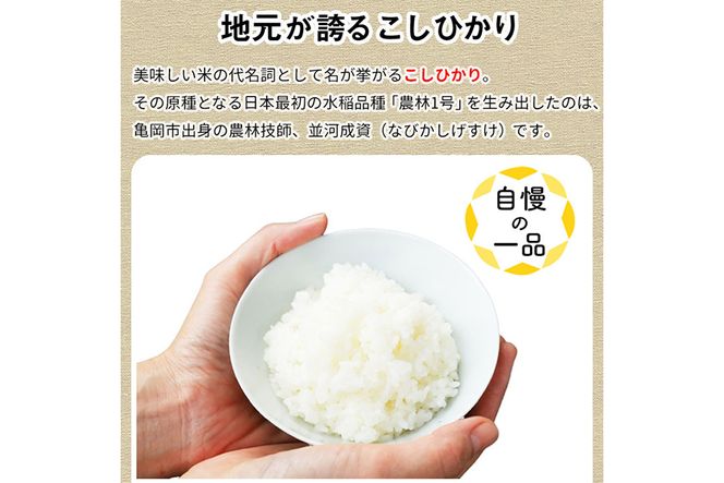 【定期便】令和6年産 新米 訳あり 京都丹波米こしひかり5kg×4回 計20kg◇ 定期便 4回定期便 米 白米 5kg 4ヶ月 ※精米したてをお届け ｜ 米・食味鑑定士厳選 京都丹波産 ※北海道・沖縄・離島への配送不可 ※2024年10月上旬以降順次発送予定