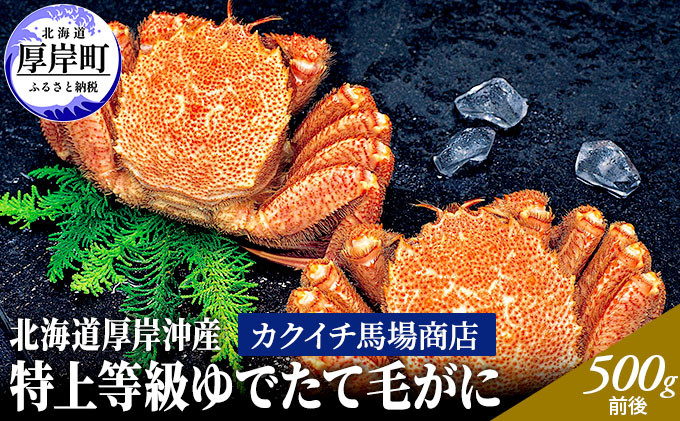 
            先行予約 蟹屋厳選　北海道 厚岸沖産　特上等級 ゆでたて 毛がに (500g前後×2尾 蟹 [№5863-0675]
          