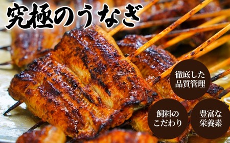 坂東太郎鰻の鰻蒲焼 小5枚