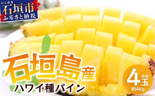 【先行予約】《2025年6月上旬頃より順次発送》石垣島産 ハワイ種 パイン (4玉 約4㎏) 【 産地直送 沖縄 石垣 パイナップル フルーツ 】石垣さんちの石垣トロピカルファーム TP-5