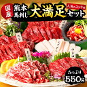 【ふるさと納税】 国産 熊本 馬刺し 「大満足セット+人気の馬肉ユッケ100g付き」 約11人前 合計550g 上赤身 中トロ 大トロ 馬ヒレ たてがみ ユッケ 生食 冷凍 プレゼント 贈り物 内祝い 送料無料