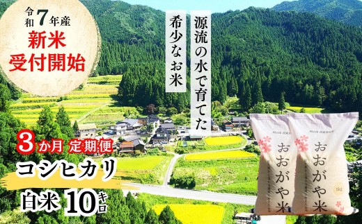 《令和7年産新米受付開始》【3回定期便】白米 10kg 令和7年産 コシヒカリ 岡山 「おおがや米」生産組合 G-ag-BEFA