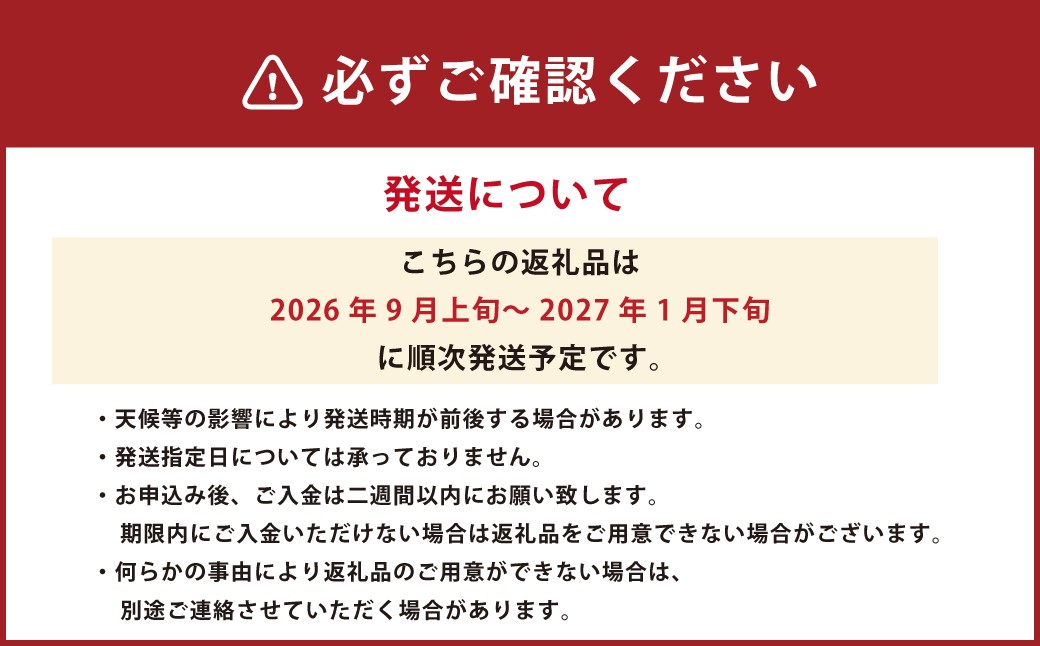 熊本市産 厳選 極上蜜柑 5kg