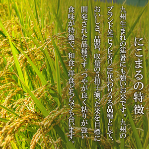 米 10kg (5kg×2) にこまる 池田町産 8分づき セット 分つき精米 お米 おこめ こめ コメ ごはん ご飯 有機肥料 減農薬栽培 ミルキークィーン ニコマル 岐阜県