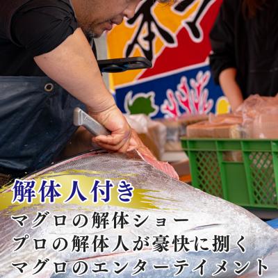 ふるさと納税 大月町 特大 国産 養殖 本マグロ 解体人付き 50kg以上 一本丸ごと 刺身 300人前 まぐろ 出張対応 |  | 03