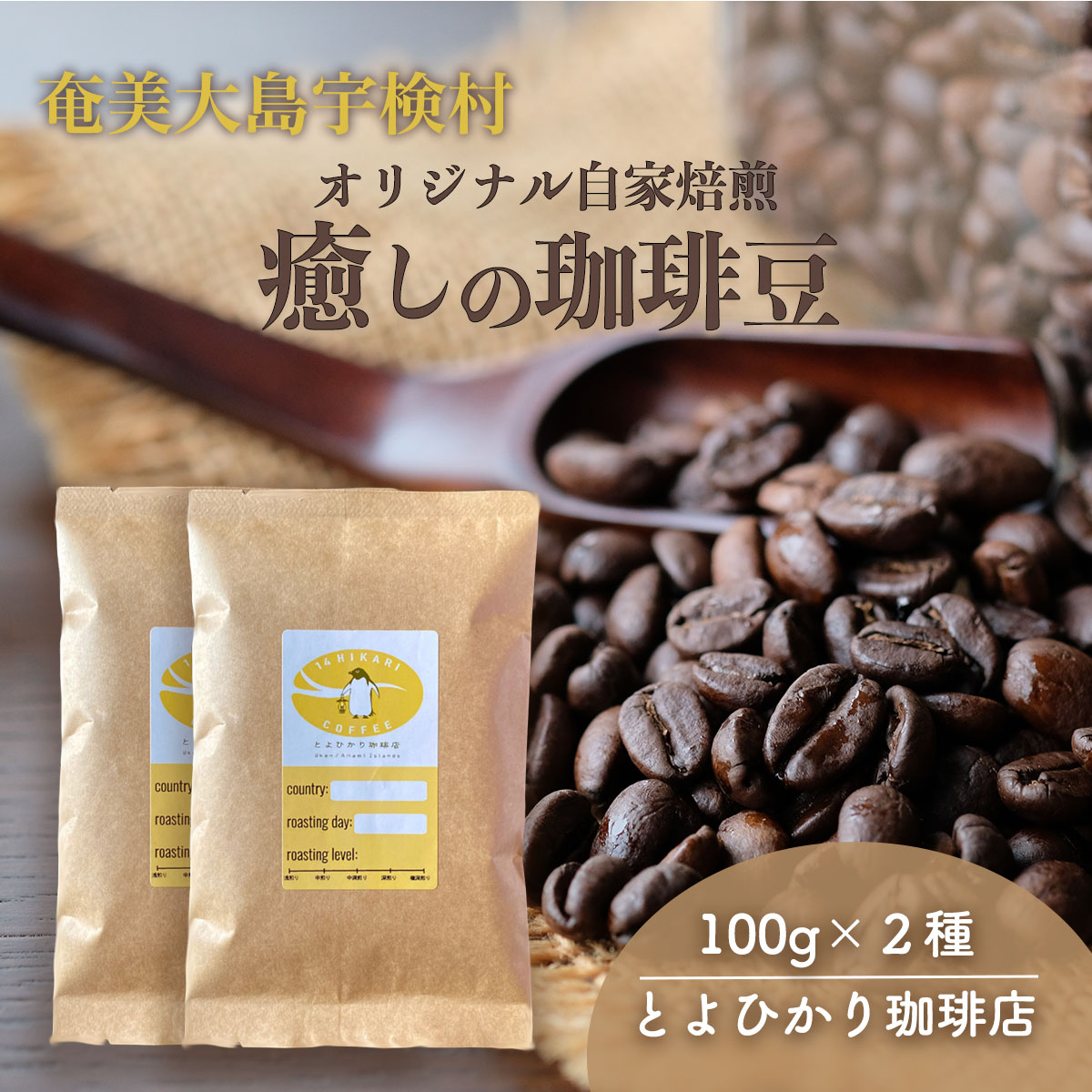 【ふるさと納税】コーヒー コーヒー豆（100g×2種）自家焙煎 こだわりのコーヒー 店主おすすめ エクアドル インドネシア 鹿児島県 奄美大島 宇検村〈とよひかり 珈琲店 〉ギフト 送料無料