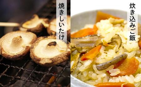 【肉厚で、大きく、ジューシー】瀬戸内しいたけ 1,200g｜【しいたけ・シイタケ・椎茸・新鮮しいたけ・おすすめしいたけ・シイタケ・美人しいたけ・自宅用しいたけ・椎茸・お取り寄せしいたけ・しいたけ・国産