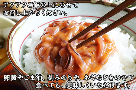 3163. イカの塩辛 500g イカ スルメイカ いか 珍味 海鮮 魚介 塩辛 ご飯のお供 烏賊 送料無料 北海道 弟子屈町
