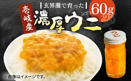 壱岐産 濃厚 ウニ60g《壱岐市》【合同会社塚元】ムラサキウニ 海産物 海鮮 ウニ うに 雲丹 珍味 [JDR021] 15000 15000円 のし プレゼント ギフト 冷凍配送