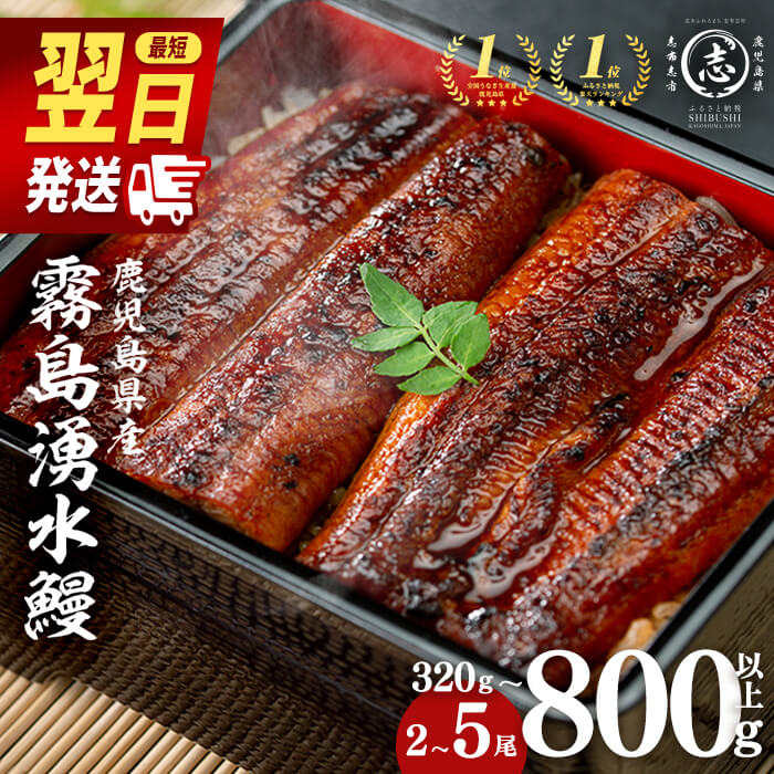うなぎ生産量日本一の鹿児島県！山田水産の霧島湧水鰻 160g以上×5尾＜計800g以上＞