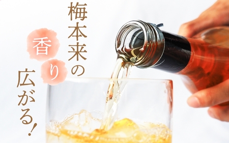 梅酒  南高梅 紀州梅酒 720ml×4本セット 【umy001】