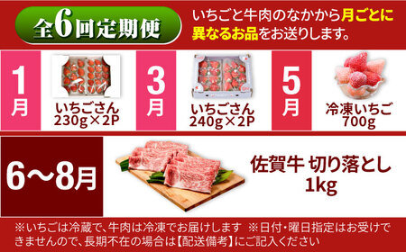 【R8年1月以降発送】【全6回定期便】いちご2種と佐賀牛のセット/いちご 牛肉 [IZZ025]