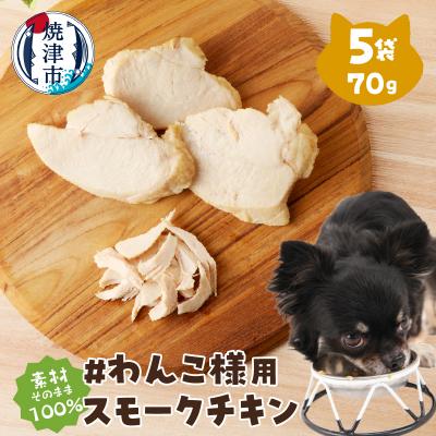 ふるさと納税 焼津市 わんこ様用5点セット(a10-1057)