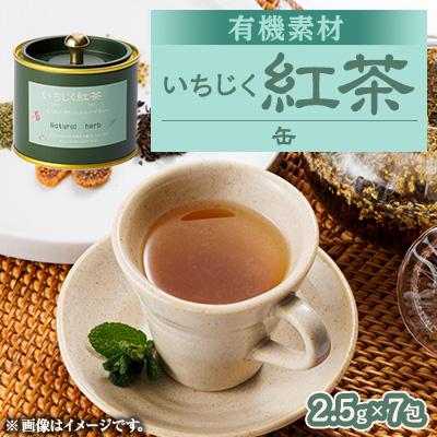 ふるさと納税 尾張旭市 有機素材いちじく紅茶缶　　　17.5g(2.5g×7包) | 