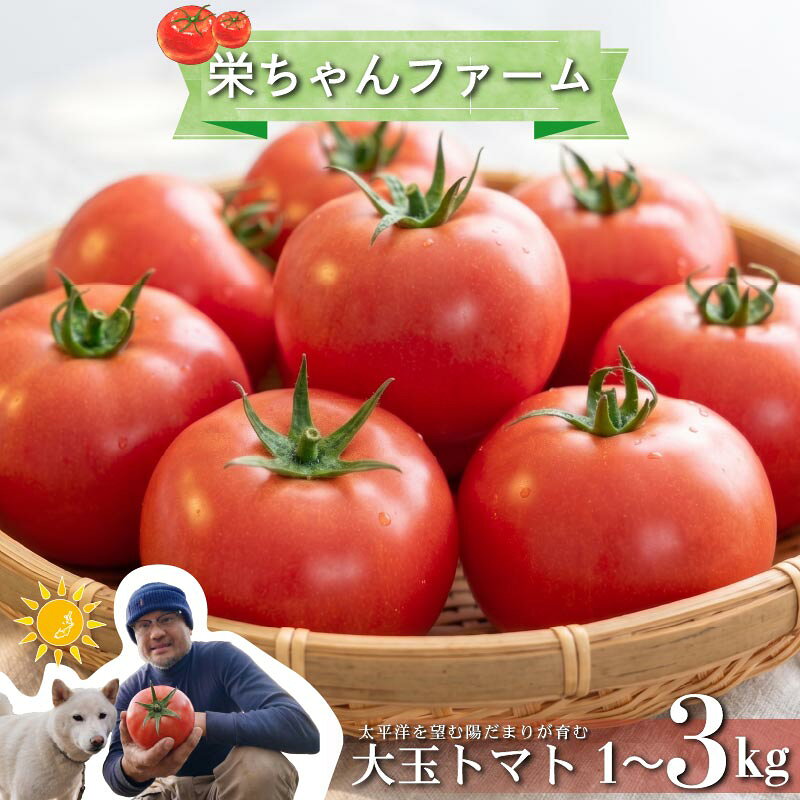 【ふるさと納税】 選べる 発送月 容量 大玉トマト 良品 先行予約 容量 1kg 2kg 3kg 発送月 2月 3月 4月 5月 トマト とまと 野菜 旬 サラダ パスタ 季節限定 産地直送 大玉トマト ギフト プレゼント 贈答 贈り物 静岡県産 栄ちゃんファーム 静岡県 下田市