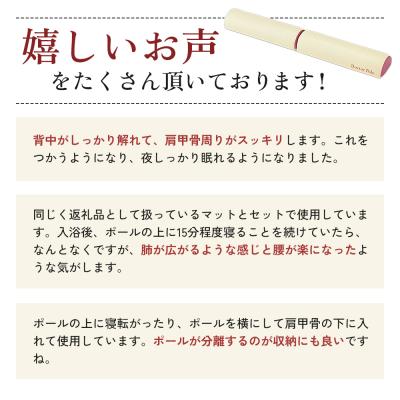 ふるさと納税 加西市 特別寄附額[ドクターポール]ポール ストレッチ 姿勢矯正 フィットネス[No5698-0935] |  | 01