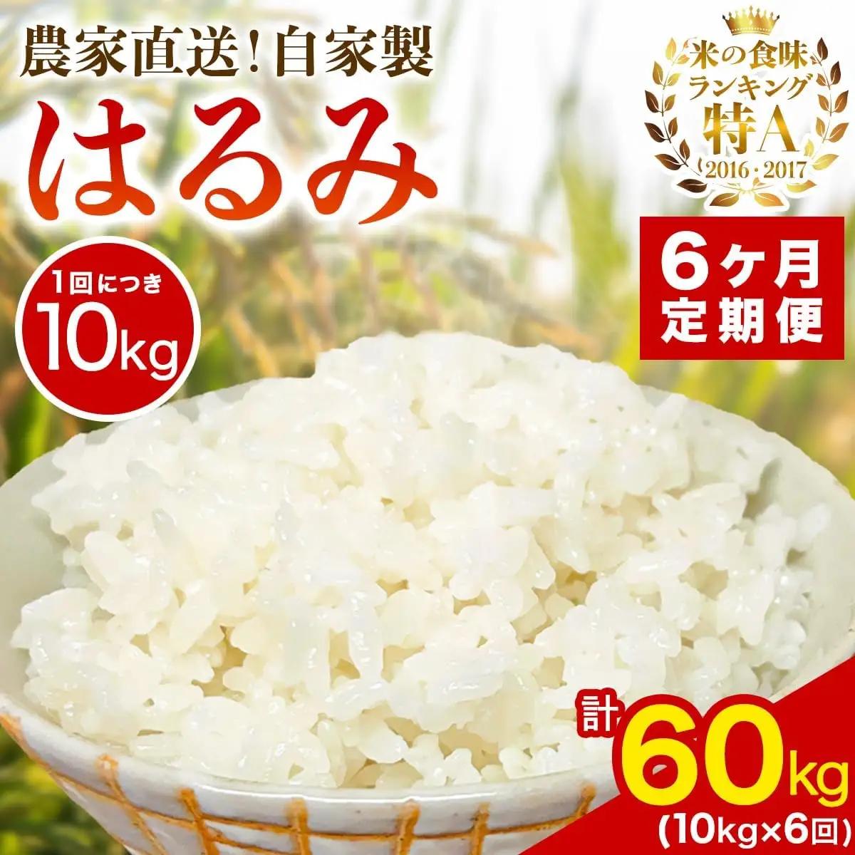 [定期便／6ヶ月連続 ]新米[令和8年産／10月下旬より順次発送] 伊勢原産 精米10kg(5kg×2袋) はるみ 農家直送！加藤さんちのうんめぇ！自家製米 [1107]