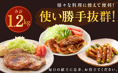 丸善味わい加工 国産 豚肉 4種セット 定期便 1.2kg×3回 小分け【毎月配送コース】