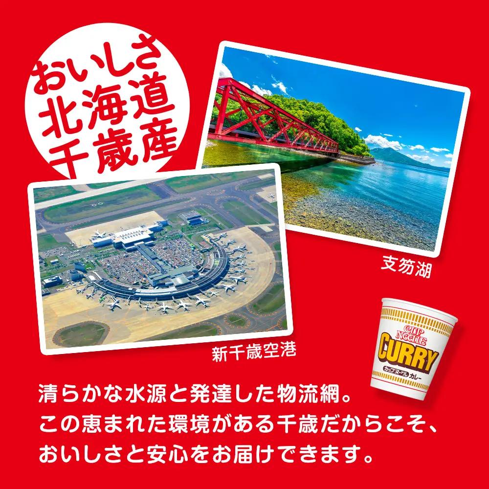 日清★カレーヌードル★2箱 合計40食